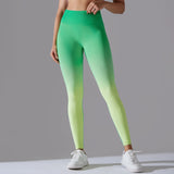 Ombre Seamless High Waist Leggings